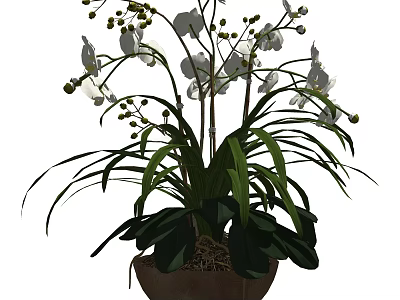 Blooming White Orchids With Green Leaves In Brown Ceramic Vase 3d model