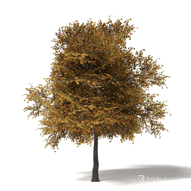 Tall Autumn Tree With Vibrant Golden Yellow Leaves And Lush Crown 3d model 