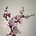 Bonsai Potted Plant With Pink Flowers Slender Branches White And Yellow Pot On Gray Background