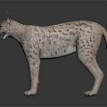 Realistic Lynx Figure With Spotted Fur And Pointed Ears Standing On Dark Surface