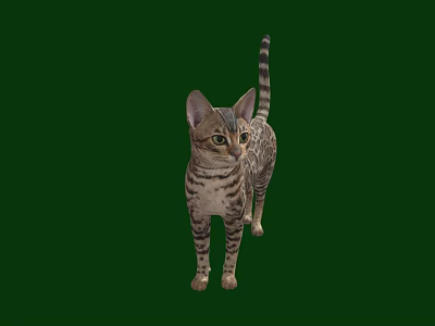 Tabby Cat Standing On Green Background With Striped Fur And Alert Expression 3d model