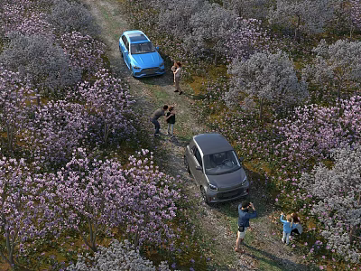 Aerial View Of Blossoming Flower Field Landscape With Visitors Parked Cars For Pleasant Outdoor Trip 3d model