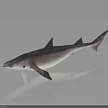 Vibrant Pink Purple Spotted Shark On Dark Surface With Reflection 3d model