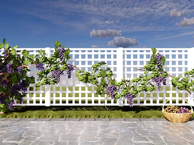 Grape Arbor With White Lattice Fence Purple Grapes And Wicker Basket 3d model