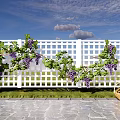 Grape Arbor With White Lattice Fence Purple Grapes And Wicker Basket