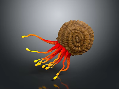 Spiral Shell Creature With Red Yellow Tentacles On Gray Background 3D Art 3d model