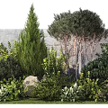 Garden Ornament Landscaping With Various Green Plants Trees Stones And Decorative Foliage