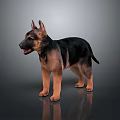 Realistic German Shepherd 3D Model Standing On Reflective Surface With Black Tan Coat 3d model