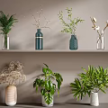 Aquatic Plants Display In Glass And Ceramic Vases On Double Layer Shelves With Green Foliage