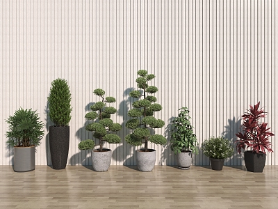 potted plant flowerpot plant bonsai 3d model