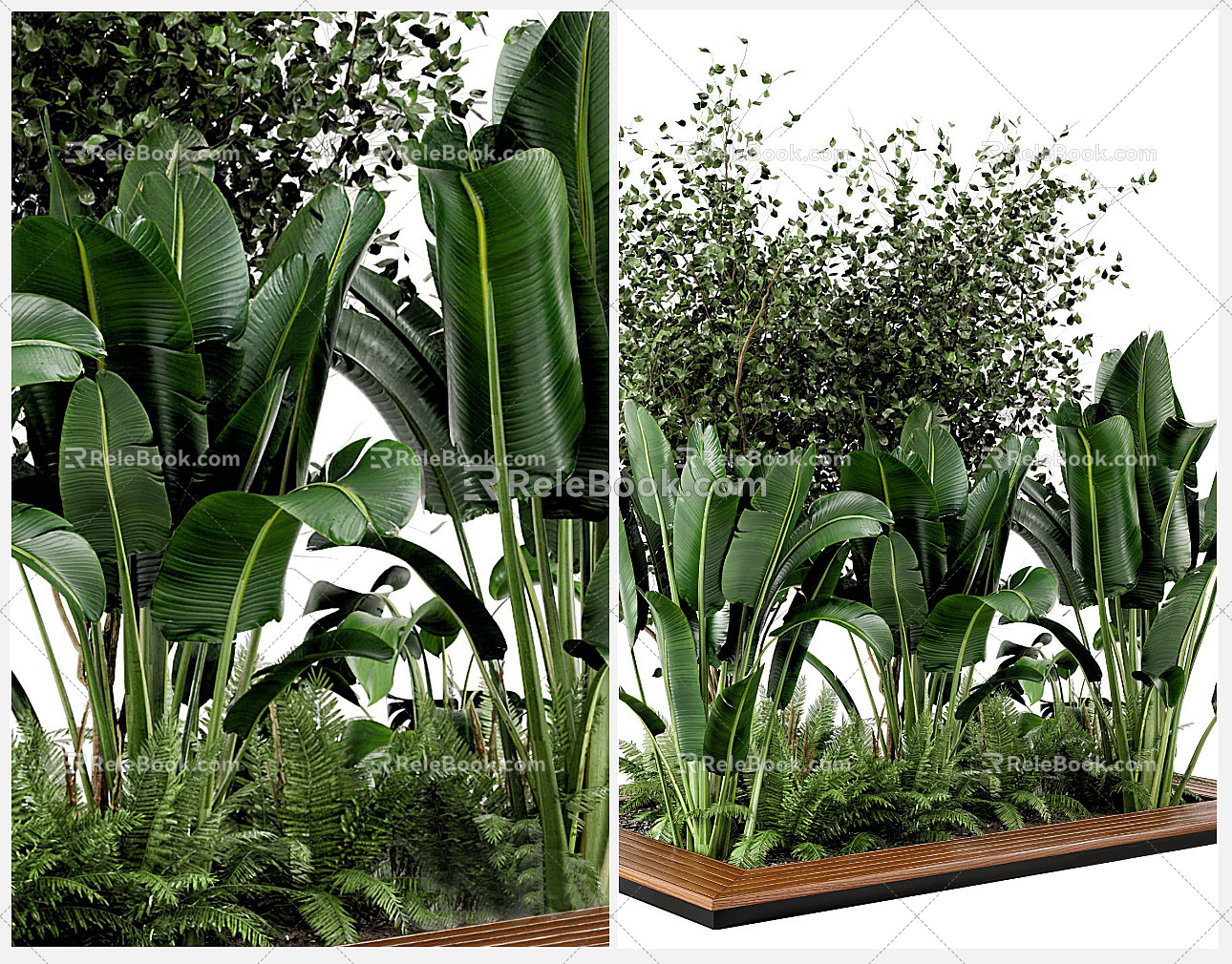 Modern tree pond green plant pond flower bed green plant flowers tropical plants model