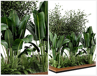 Modern tree pond green plant pond flower bed green plant flowers tropical plants 3d model