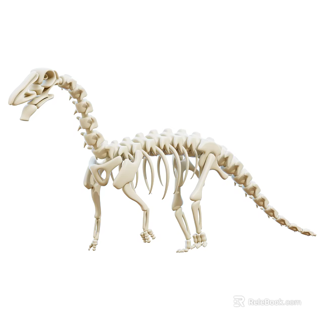 Dinosaur Skeleton Decorative Ornament Set For Home Decor Display And Collection 3d model 