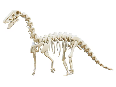 Dinosaur Skeleton Decorative Ornament Set For Home Decor Display And Collection 3d model
