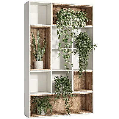 Indoor Living Plant Wall With Grid Shelves And Green Plants 3d model