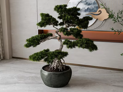 Pine Bonsai Tree in Ceramic Pot for Indoor Home Decoration with Traditional Art 3d model