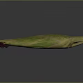 Fresh Healthy Green And Red Striped Long Vegetable With Textured Surface