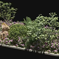 Lush Garden Display With Purple Flowers Green Shrubs Ferns And Stones
