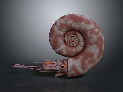 Spiral Shell Marine Creature With Pink White Patterns Tentacles And Orange Eyes 3d model
