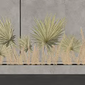 Natural Golden Herbs And Palm Like Plants In White Rectangular Planter Against Beige Wall