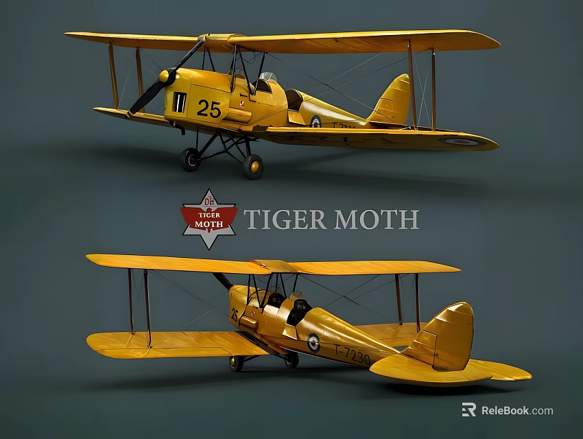 Yellow Tiger Moth Biplane Fighter with Number 25 Markings Two Views Display Classic Design 3d model 