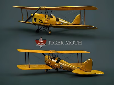 Yellow Tiger Moth Biplane Fighter with Number 25 Markings Two Views Display Classic Design 3d model