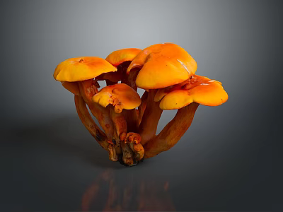 Vibrant Orange Edible Mushrooms Cluster With Fresh Caps And Tender Stems 3d model