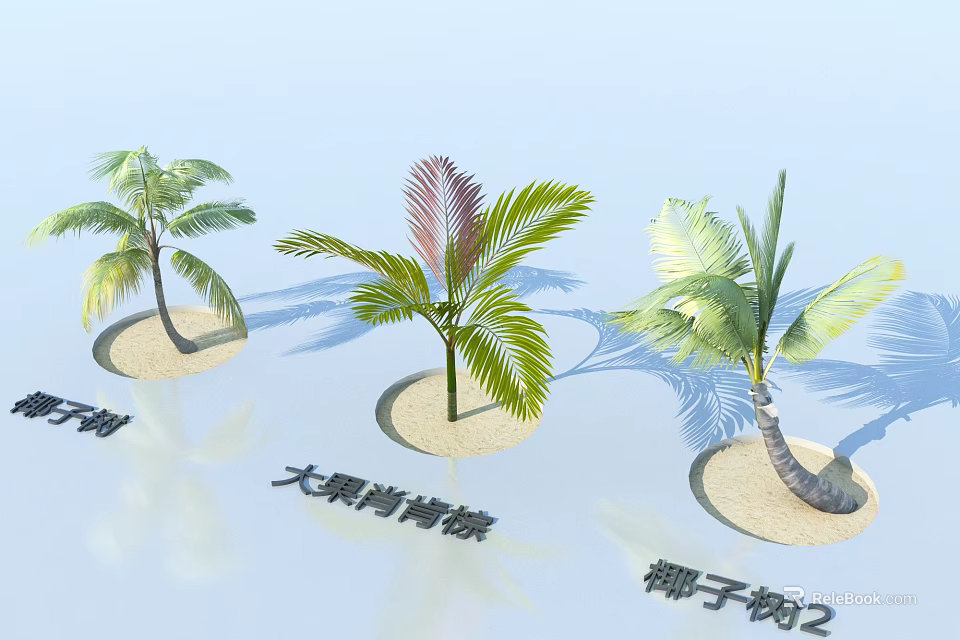 Tropical Palm Trees Varieties Featuring Wanli Thorn Big Fruit Shanglu and Coconut Tree 2 3d model 