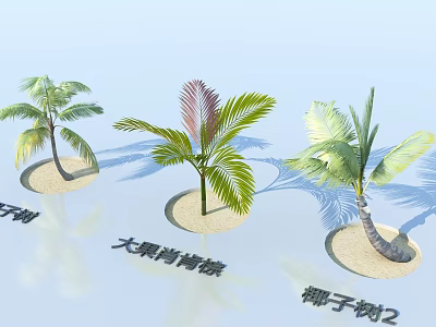 Tropical Palm Trees Varieties Featuring Wanli Thorn Big Fruit Shanglu and Coconut Tree 2 3d model