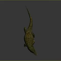 Realistic Green And Yellow Crocodile 3D Model With Detailed Texture On Dark Background