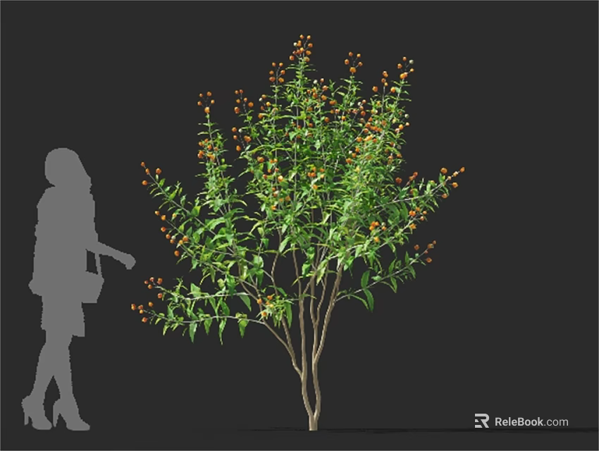 Green Leafy Shrub With Orange Berries And Woman Silhouette In Outdoor Setting 3d model 