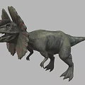 Double Crest Dragon Double Crowned Dragon Dinosaur Reptile Ancient Biology Meat-eating Dinosaur Jurassic Low Face Number Low Model Simple Model Game Movie and TV Level Super Realistic 3d model