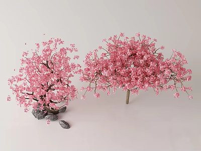 Beautiful Pink Cherry Blossom Bonsai Plants With Decorative Stones For Home Decor 3d model