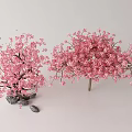 Beautiful Pink Cherry Blossom Bonsai Plants With Decorative Stones For Home Decor