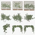 Decorative Green Plants Featuring Fence Bushes Arched Hedges And Various Shapes