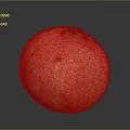 Fresh Red Orange Pomegranate With Speckled Skin On Dark Background