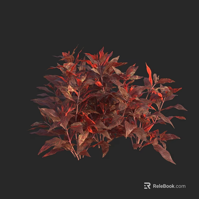 Vibrant Red And Brown Foliage Of Lush Garden Plant With Natural Leaves 3d model 