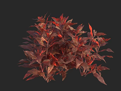 Vibrant Red And Brown Foliage Of Lush Garden Plant With Natural Leaves 3d model
