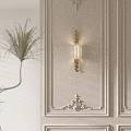 Elegant Wall Lamp on White Wall with Ornate Molding and Green Plant