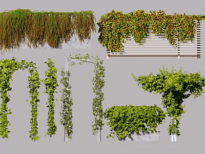 Various Decorative Vines Featuring Hanging Climbing and Lush Leaf Designs for Wall and Archway 3d model