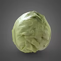 Fresh Green Cabbage Vegetable with Crisp Leaves and Natural Healthy Texture