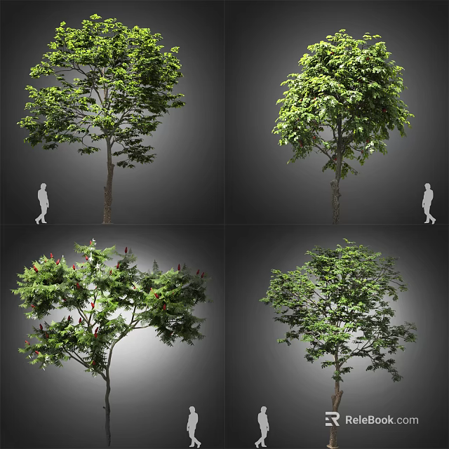 Different Arbor Tree Varieties Featuring Lush Green Foliage and Diverse Canopies 3d model 