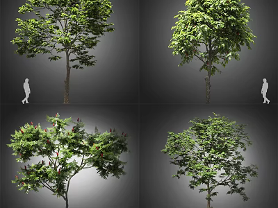 Different Arbor Tree Varieties Featuring Lush Green Foliage and Diverse Canopies 3d model