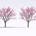 Garden Peach Blossom Tree Cherry Tree Group Landscape Green Planting 3d model