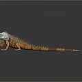 Vibrant Iguana With Blue Head And Orange Body On Smooth Reflective Surface
