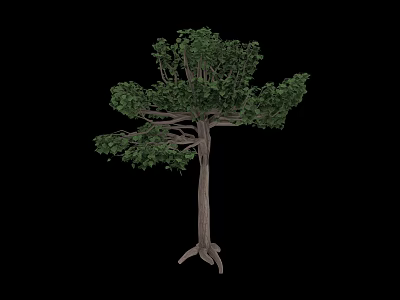 Tall Arbor With Lush Green Foliage And Thick Trunk In Natural Form 3d model