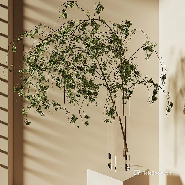 Trailing Green Hanging Basket Plants With Lush Leaves For Indoor Wall Decor 3d model 