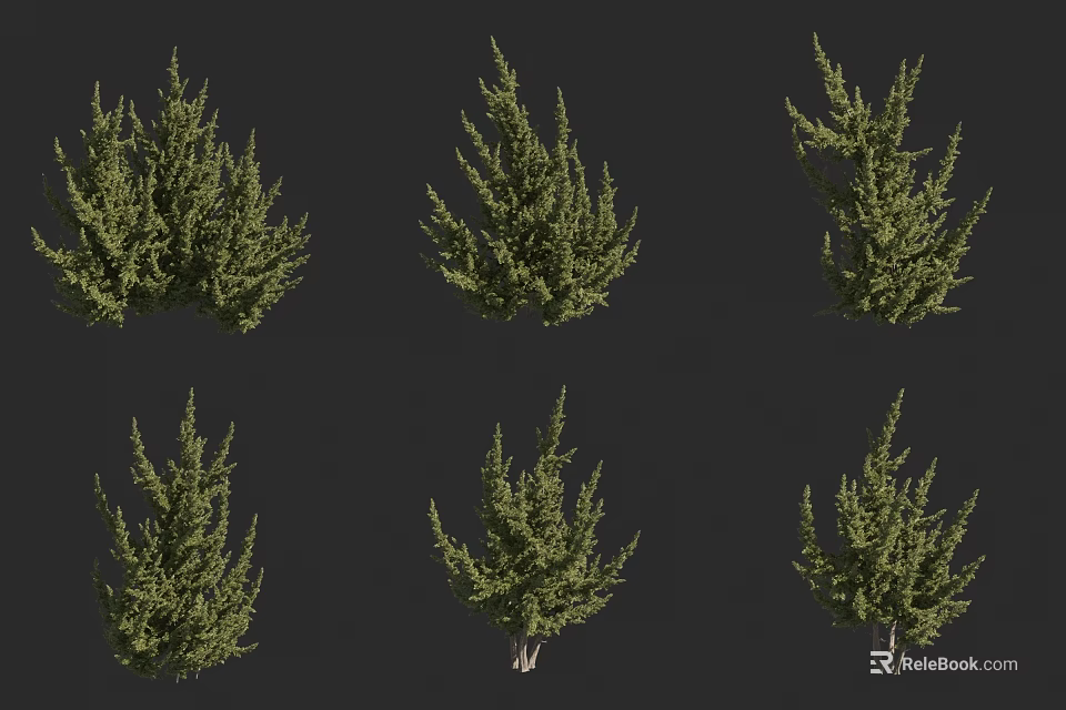 Different Types Of Green Shrubs With Leafy Foliage For Landscape Design 3d model 