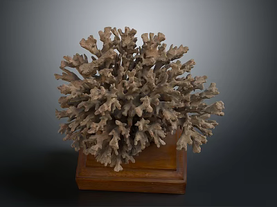 Intricate Handcrafted Coral Shaped Sculpture Carving Display On Wooden Base 3d model
