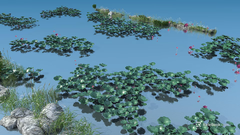 Lush Aquatic Plants Including Lotus And Lily Pads In Natural Water Garden 3d model 